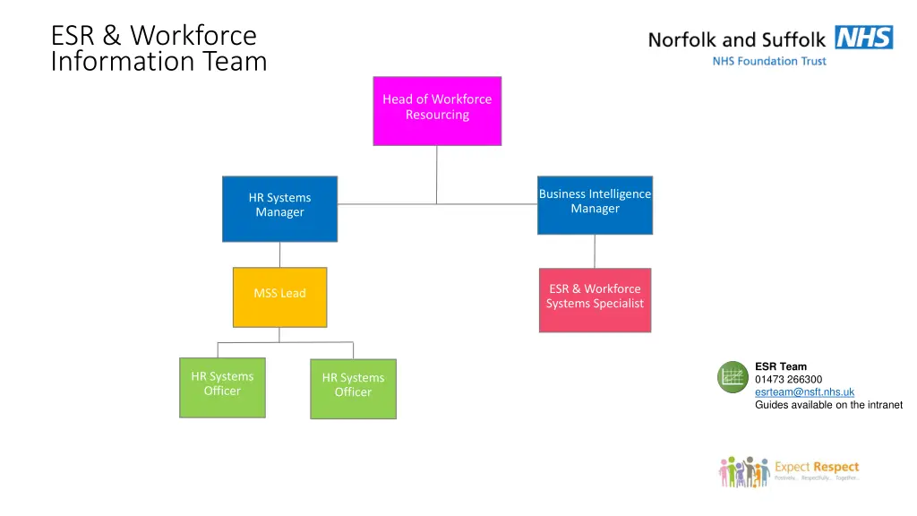 esr workforce information team