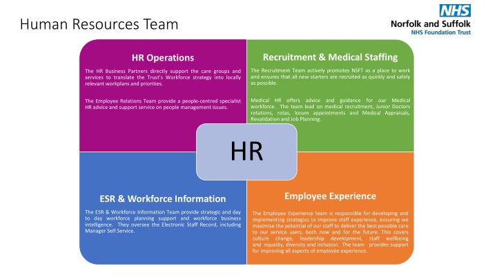 human resources team