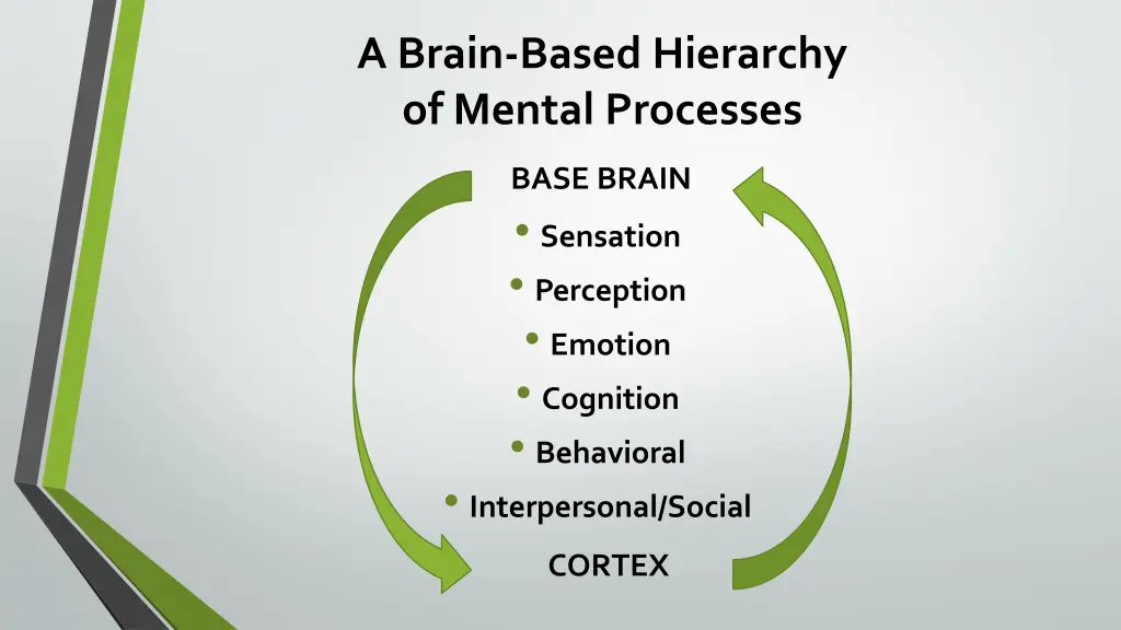 a brain based hierarchy of mental processes