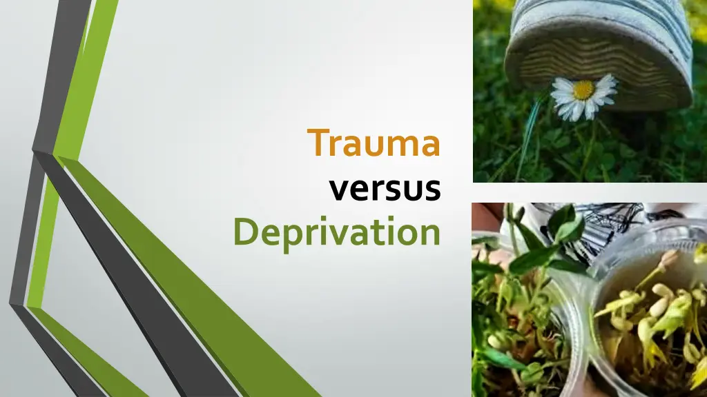 trauma versus