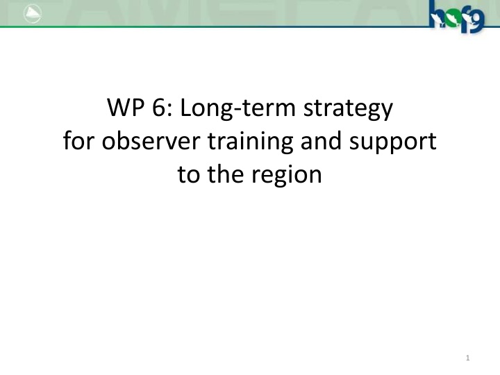 wp 6 long term strategy for observer training
