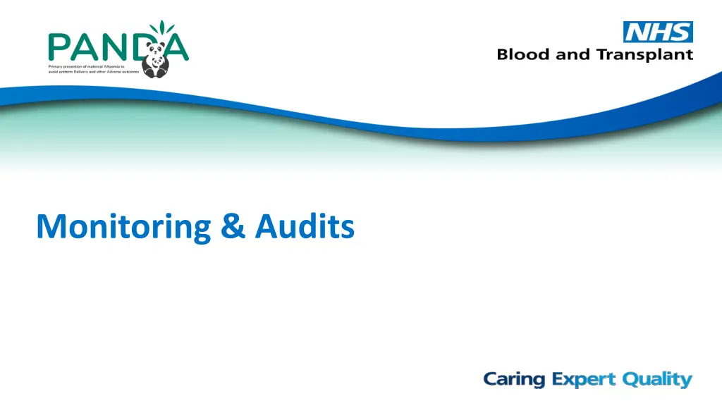 monitoring audits