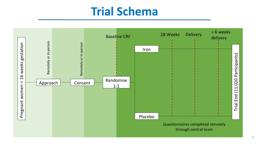 trial schema
