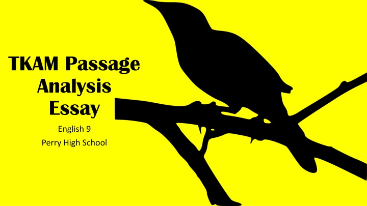 tkam passage analysis essay