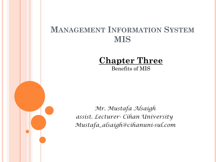 m anagement i nformation s ystem mis