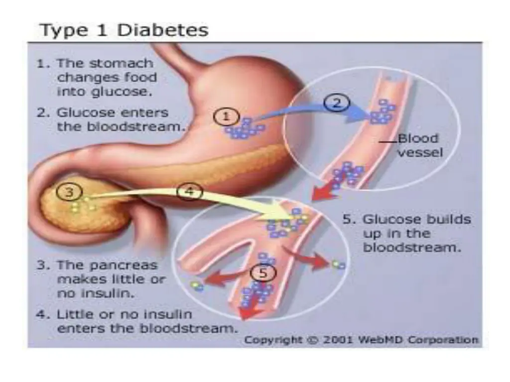 slide40