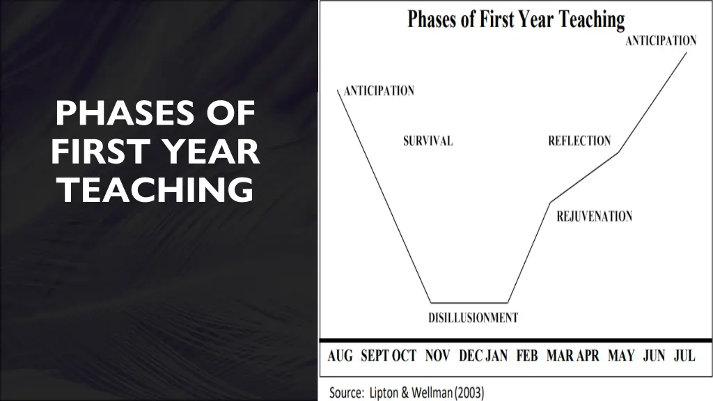 phases of first year teaching