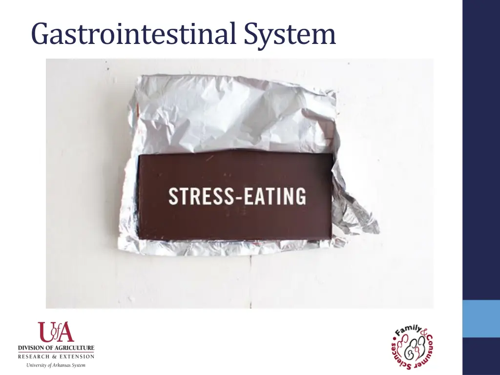 gastrointestinal system