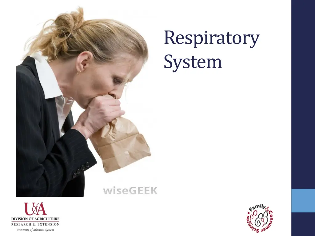 respiratory system