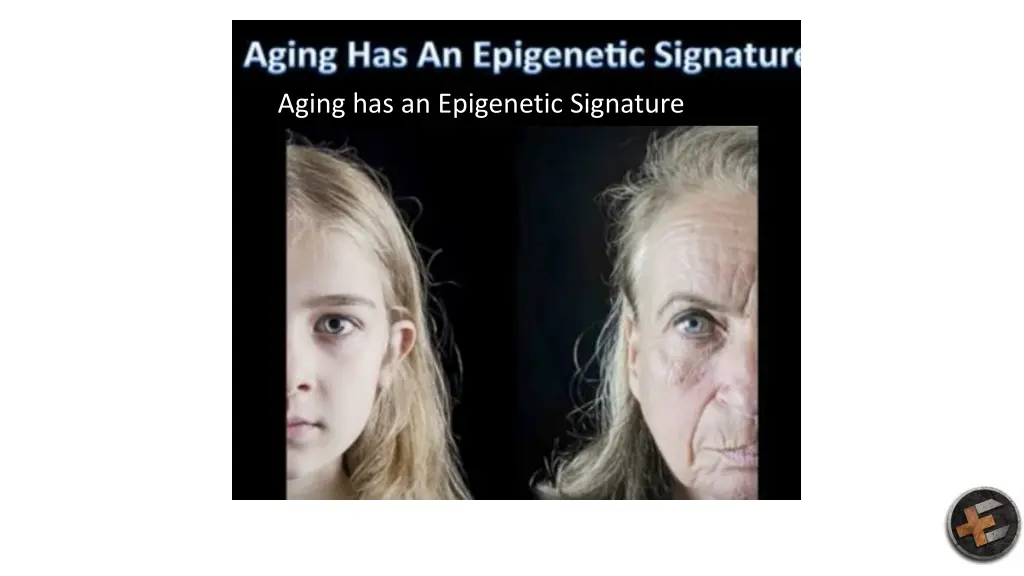 aging has an epigenetic signature