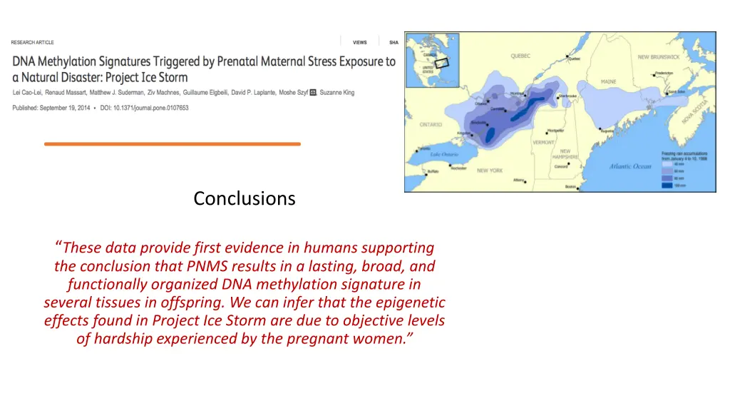 conclusions