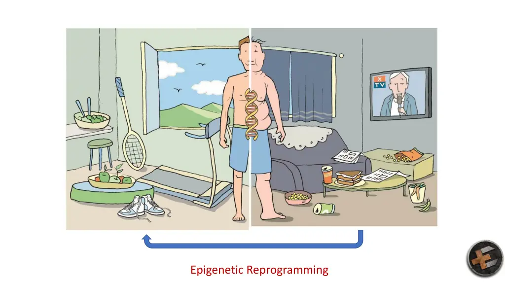 epigenetic reprogramming