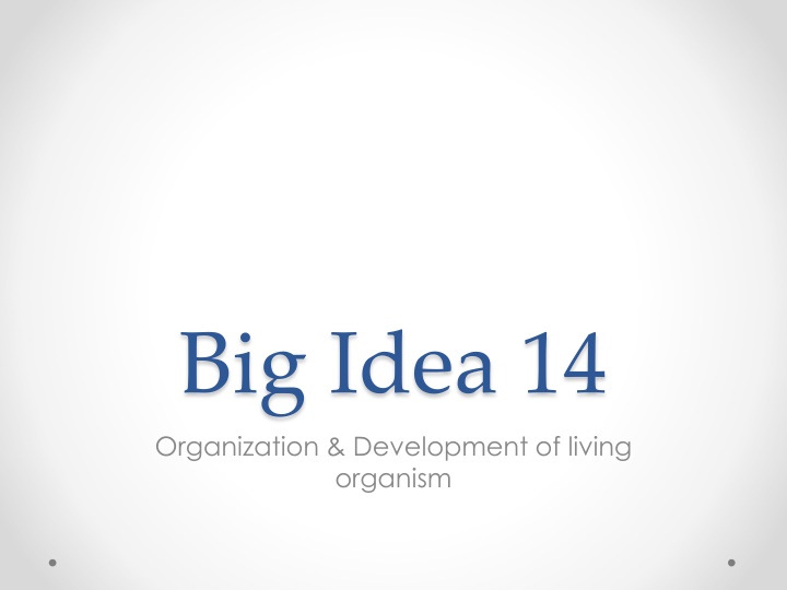 big idea 14 organization development of living