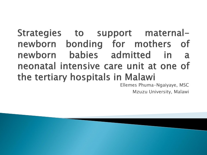 ellemes phuma ngaiyaye msc mzuzu university malawi