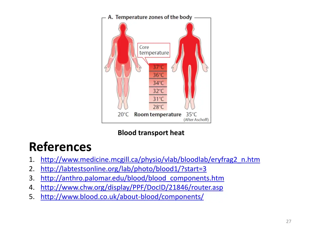 blood transport heat