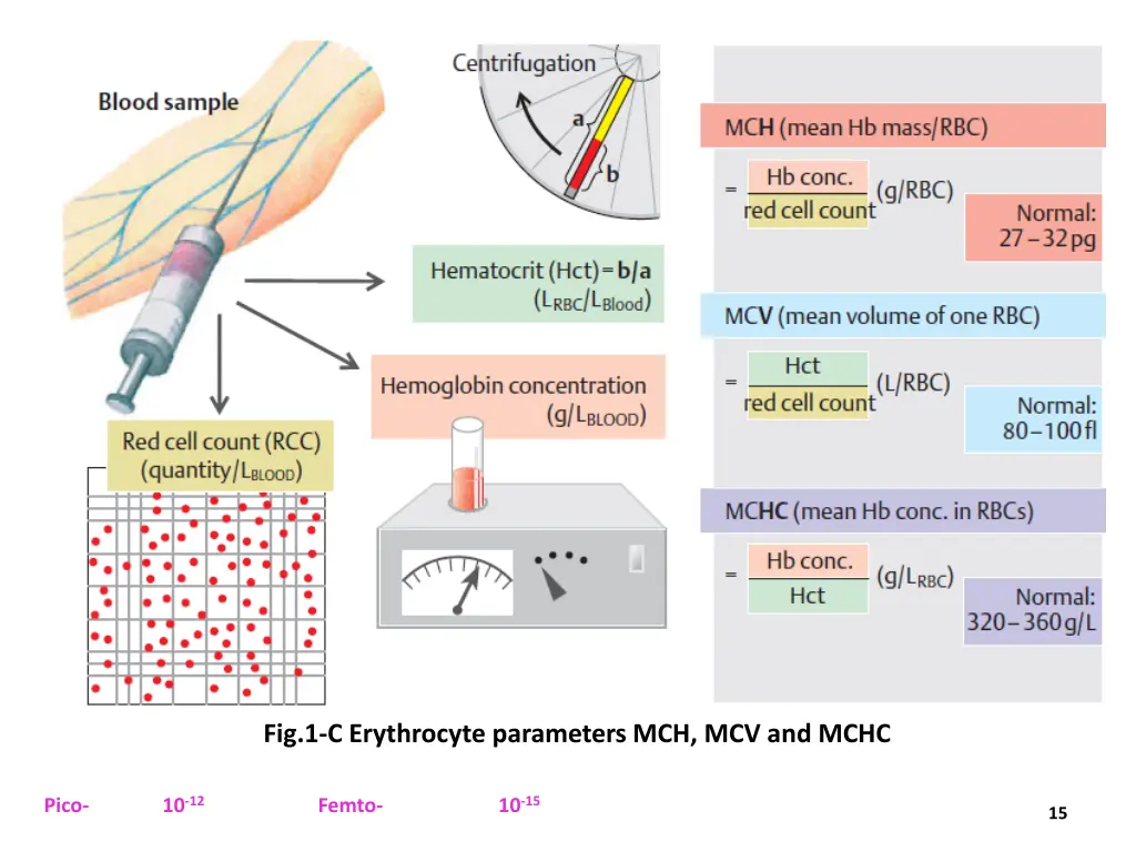 fig 1 c erythrocyte parameters mch mcv and mchc