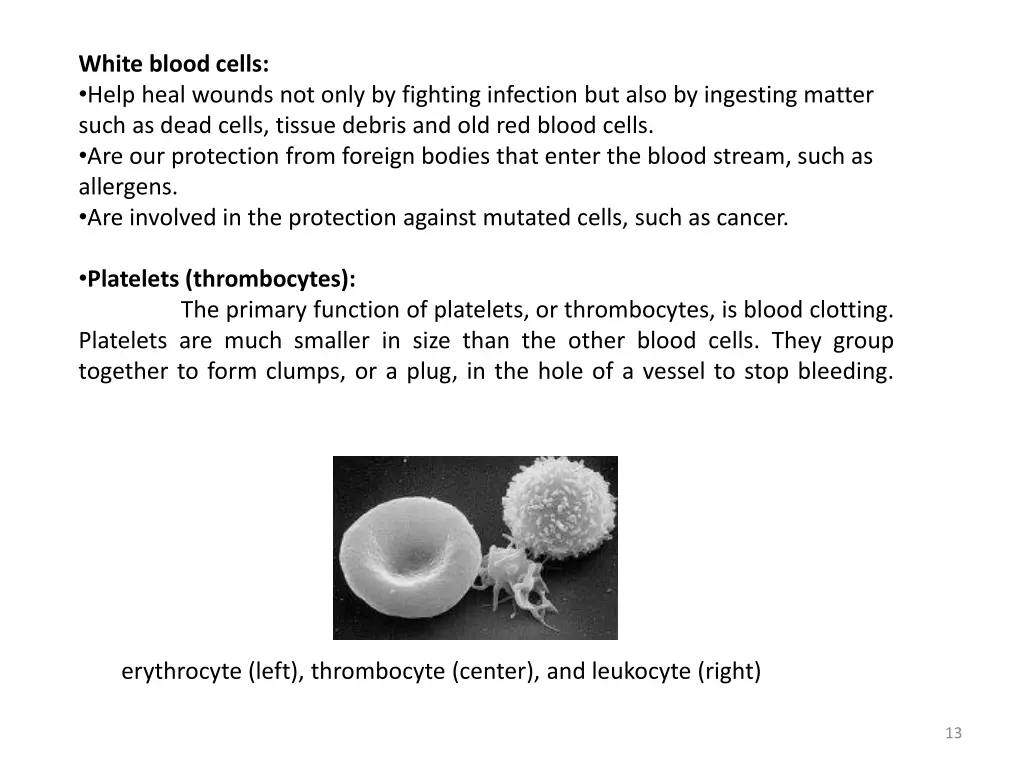 white blood cells help heal wounds not only