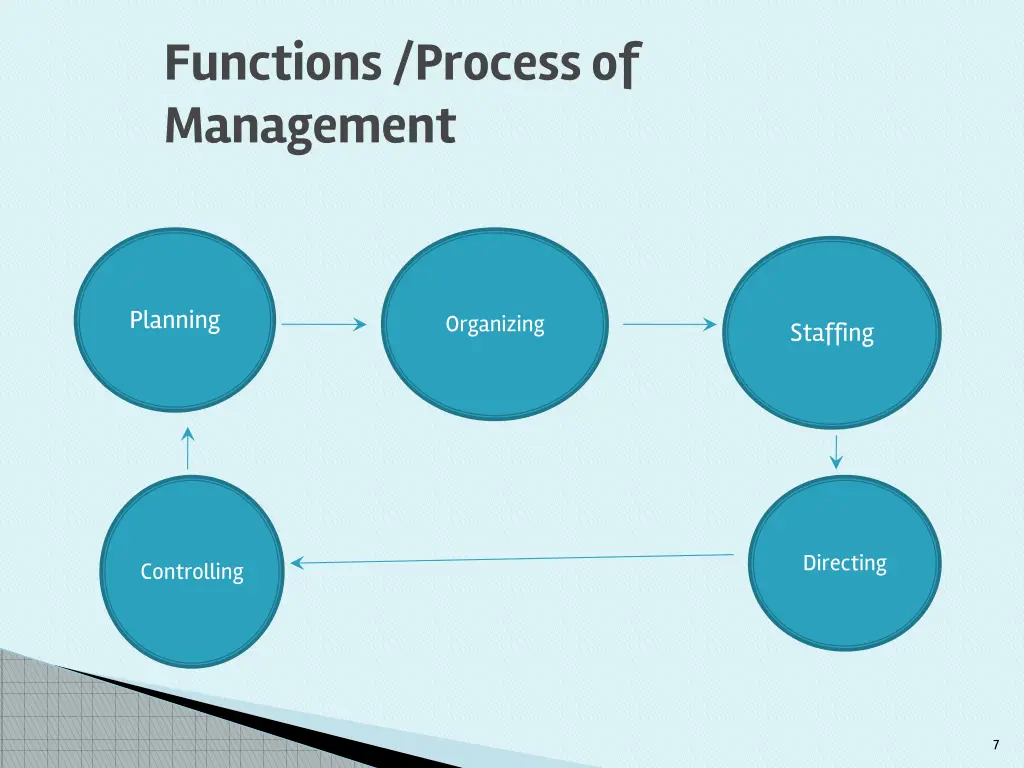 functions process of management