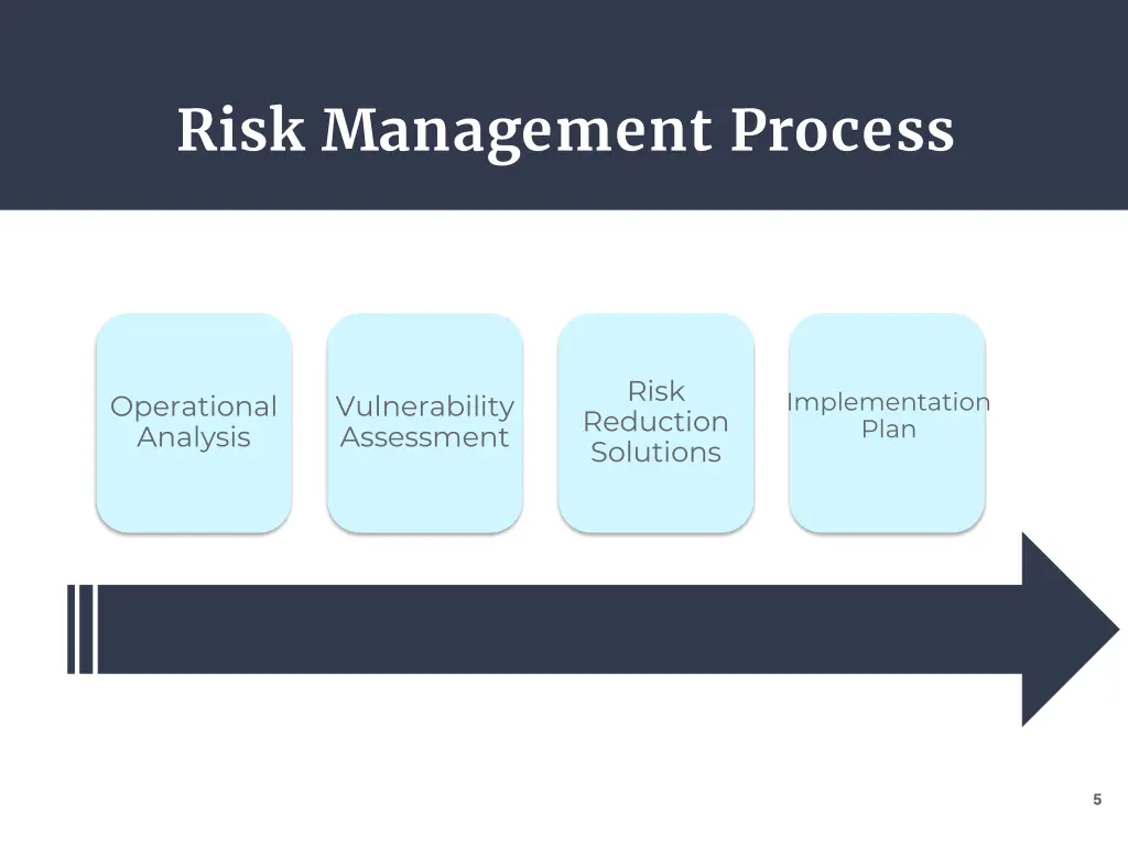 risk management process