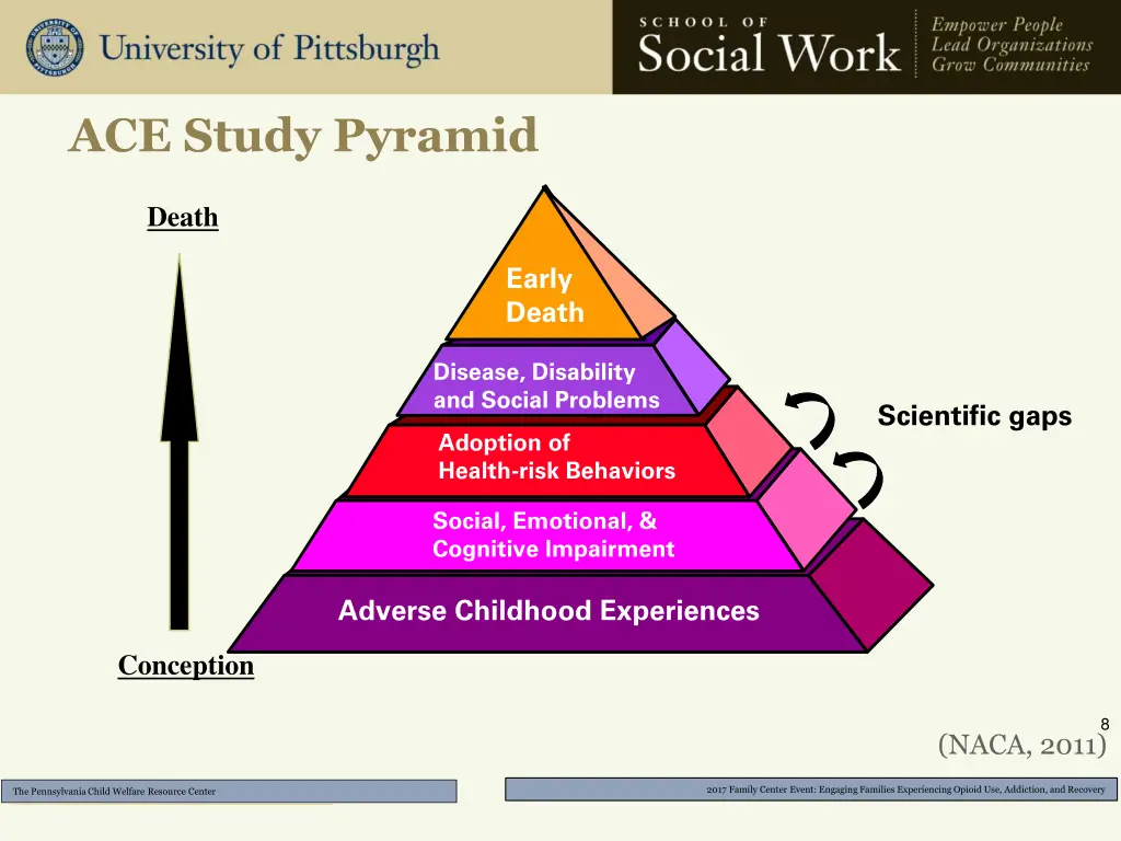 ace study pyramid