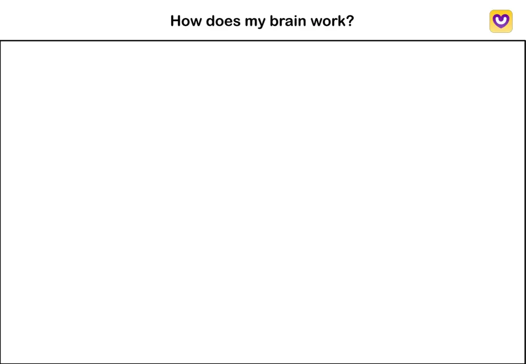 how does my brain work