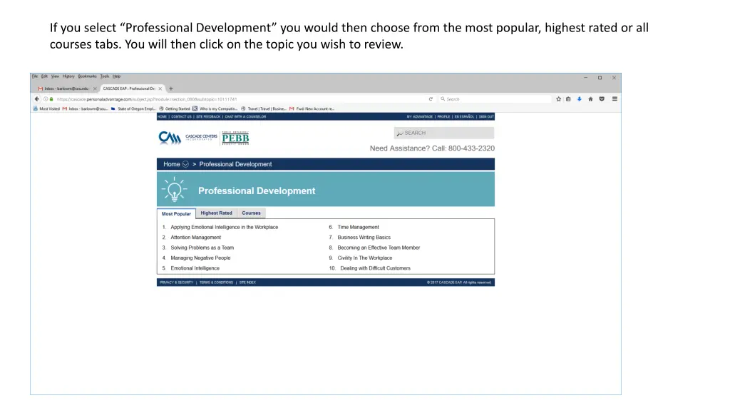 if you select professional development you would