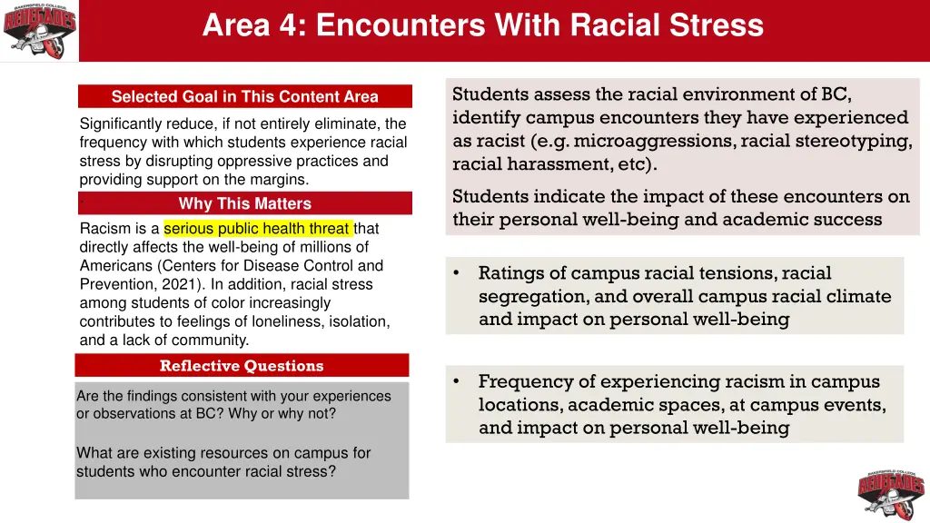 area 4 encounters with racial stress