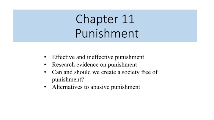 chapter 11 punishment