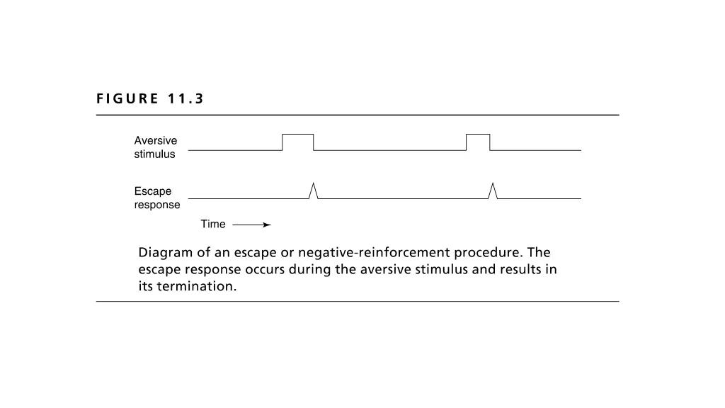 slide6