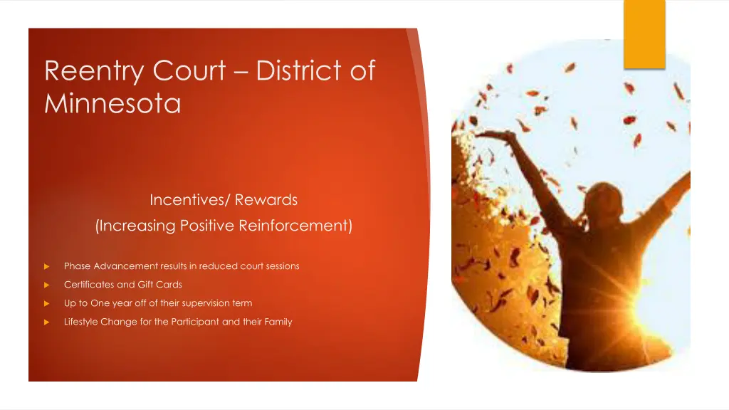reentry court district of minnesota 8