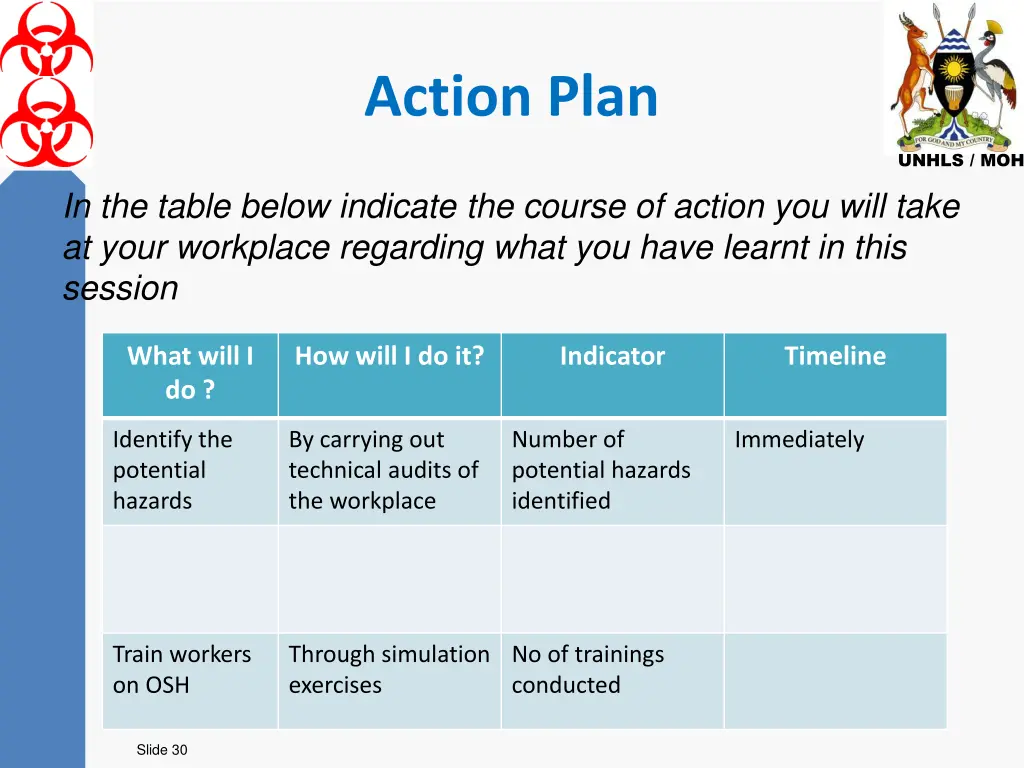 action plan