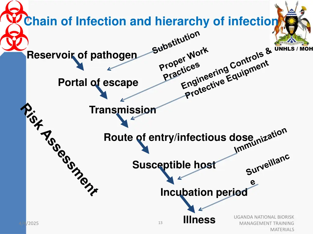 chain of infection and hierarchy of infection