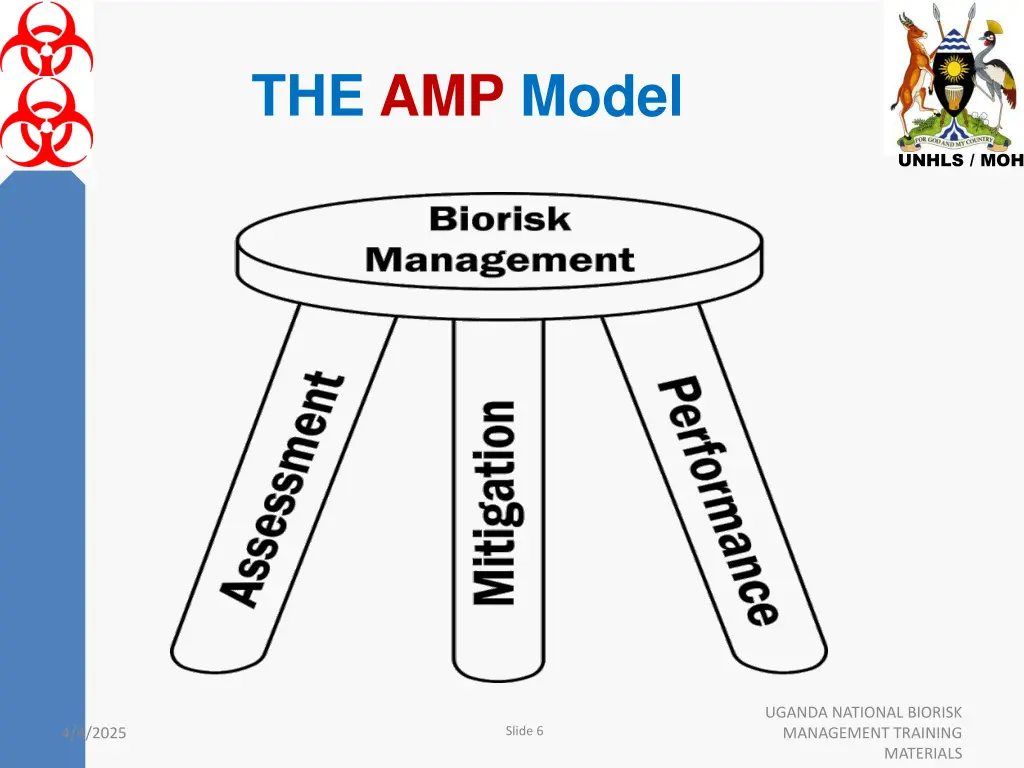 the amp model