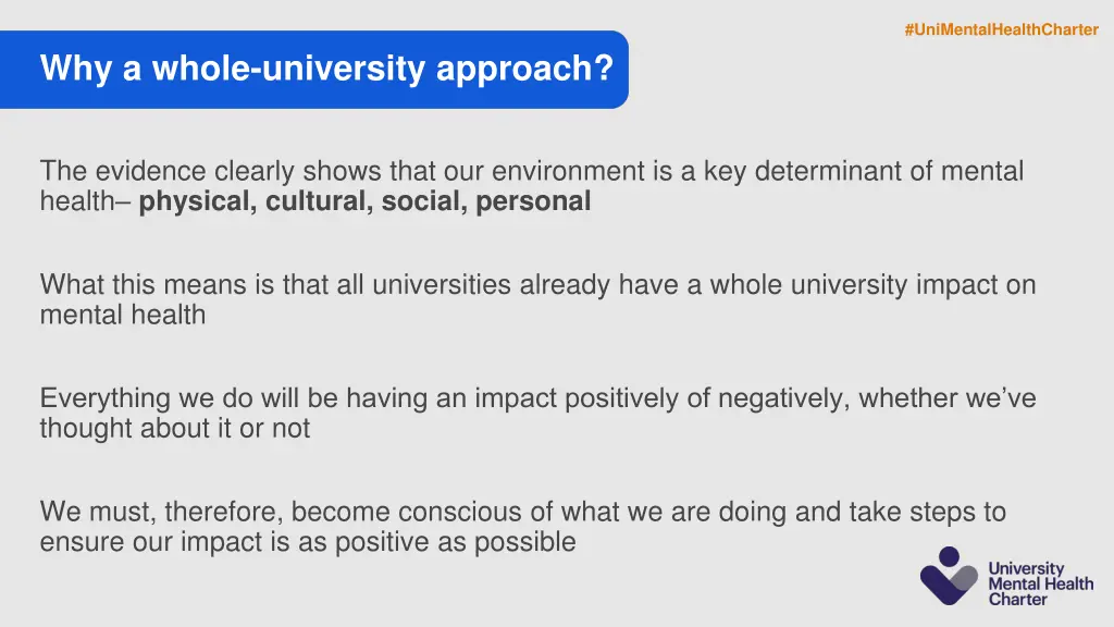 unimentalhealthcharter 1