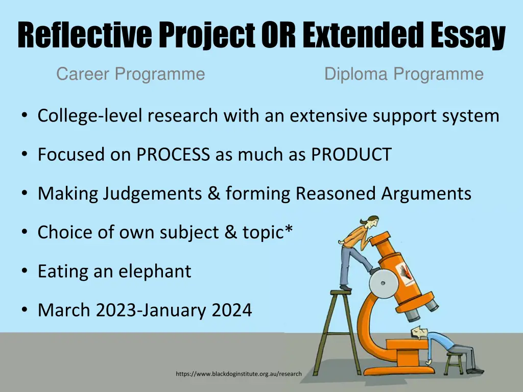 reflective project or extended essay