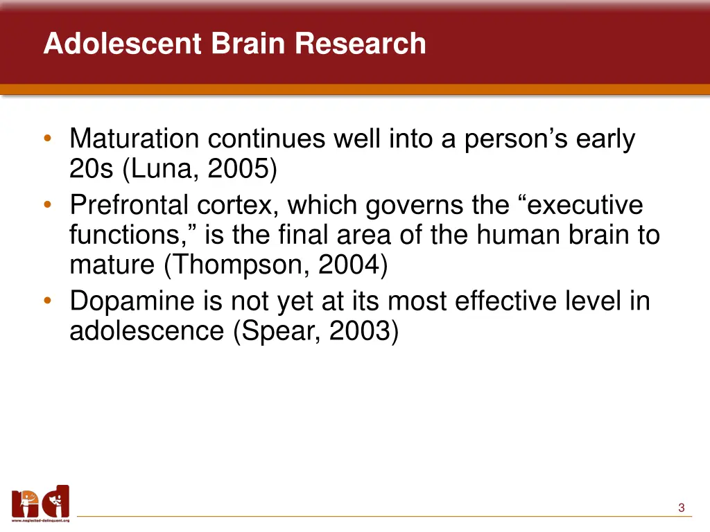 adolescent brain research