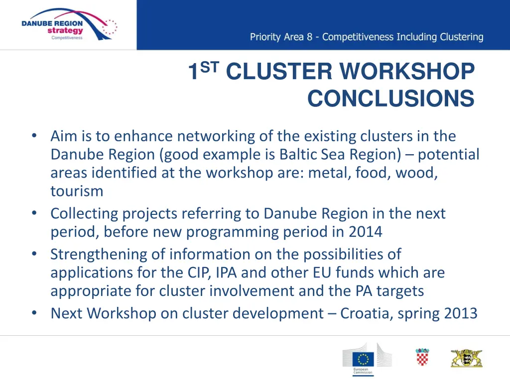 1 st cluster workshop conclusions 1