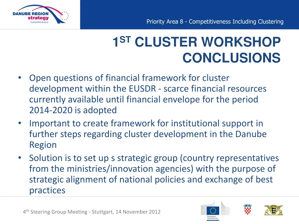 1 st cluster workshop conclusions