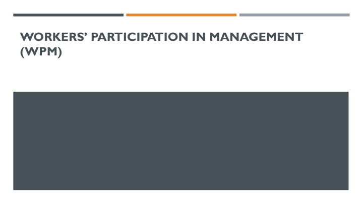 workers participation in management wpm