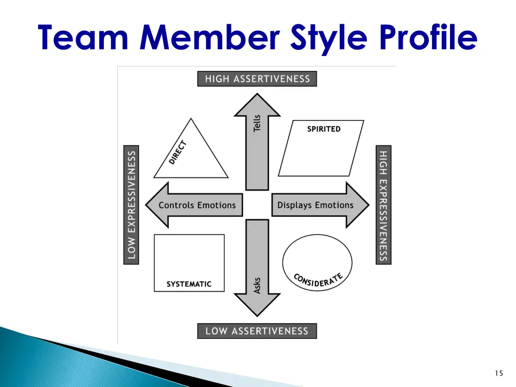 team member style profile
