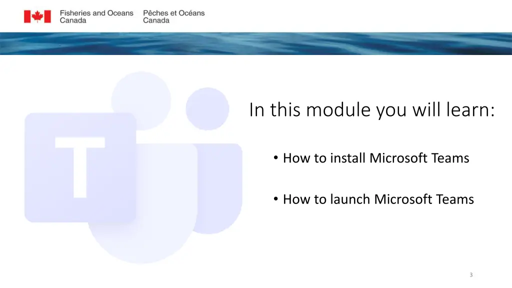 in this module you will learn