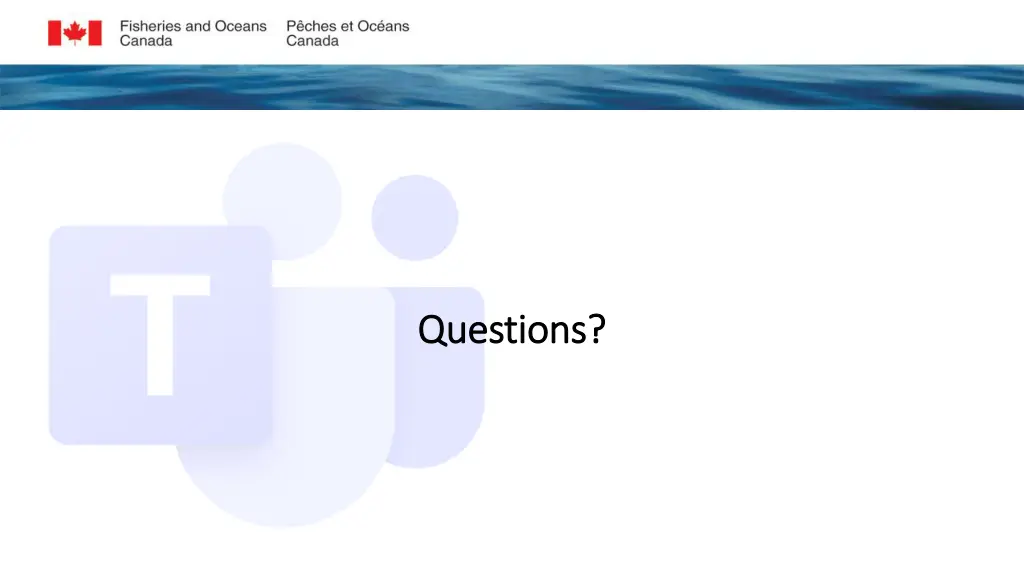 questions questions