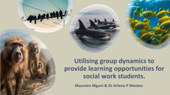 utilising group dynamics to provide learning