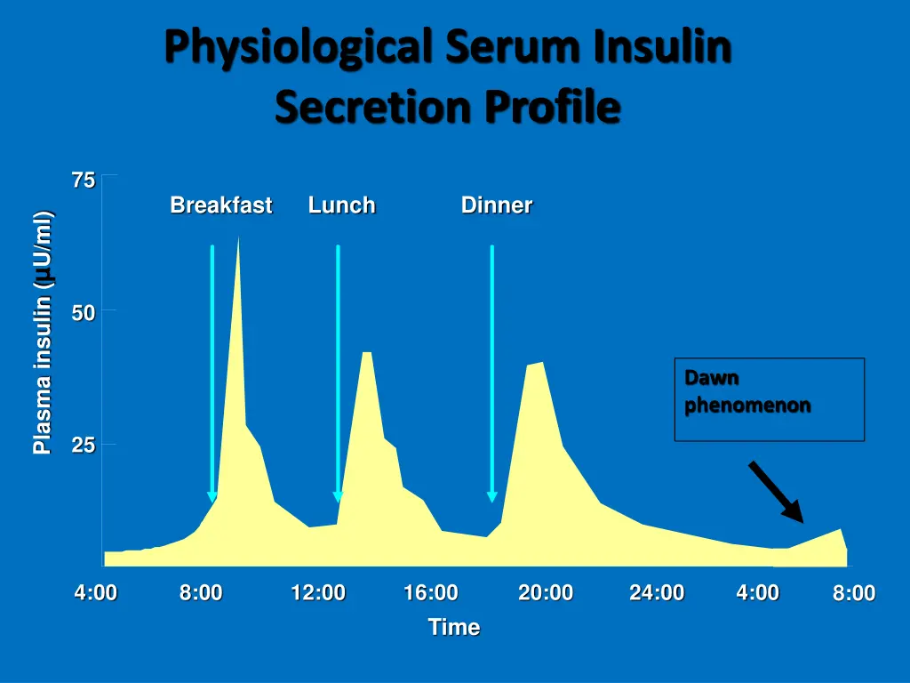 physiological serum insulin secretion profile