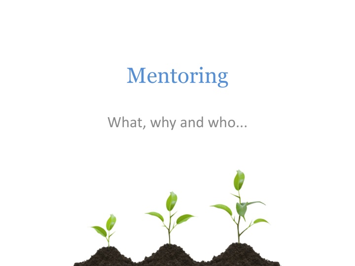 mentoring