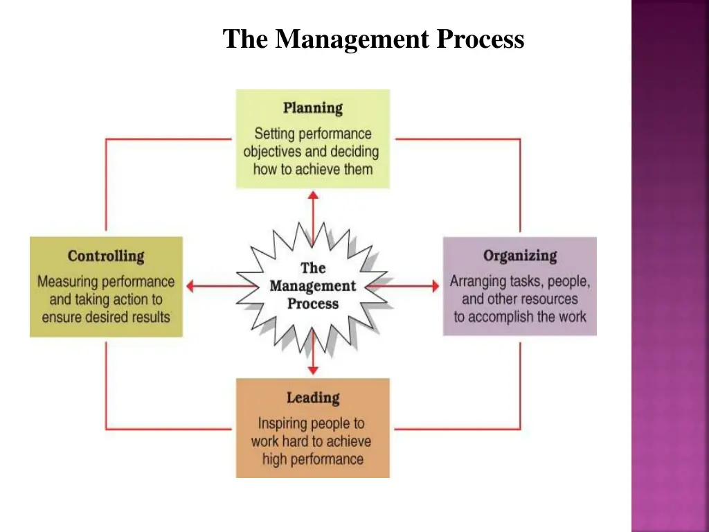 the management process
