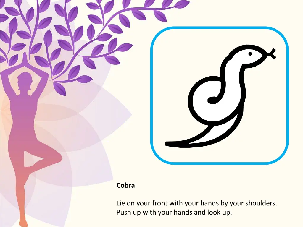 cobra
