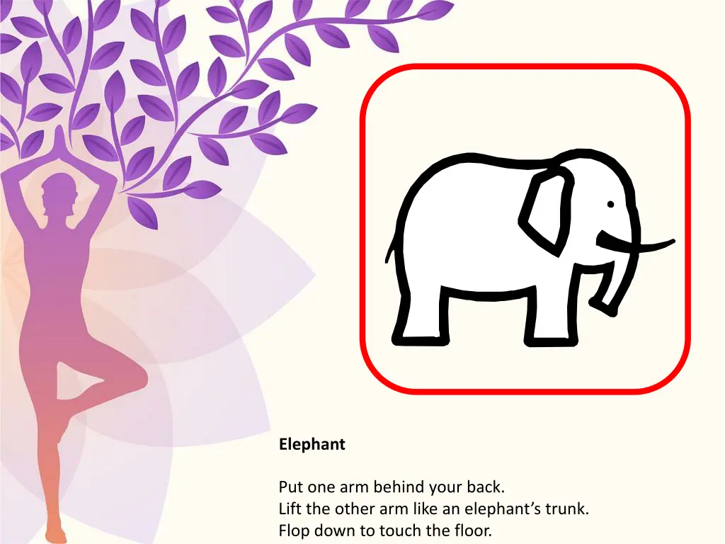elephant