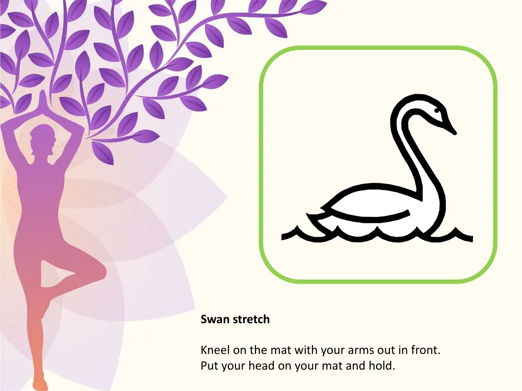 swan stretch
