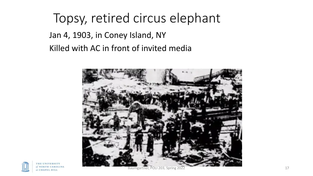 topsy retired circus elephant